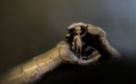 54116956206_980ce644c1_o